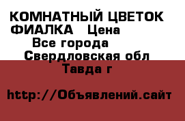 КОМНАТНЫЙ ЦВЕТОК -ФИАЛКА › Цена ­ 1 500 - Все города  »    . Свердловская обл.,Тавда г.